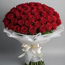 Букет 101 Красная роза Блэк Мэджик в Барсуках