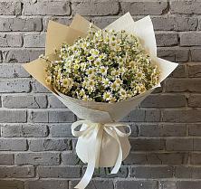 Букет цветов из:  Ромашки в Барсуках