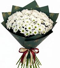 Букет цветов из:  Хризантемы #REPLACE_PRED# Барсуках