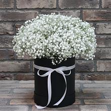 Цветочная композиция из Гипсофила в шляпной коробке в Барсуках