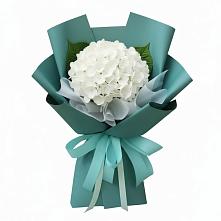Букет цветов из:  Гортензия #REPLACE_PRED# Барсуках